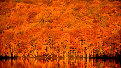 Striking and unusual: 14 photos you must see