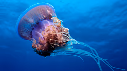 11 mind blowing facts you didn't even know about death