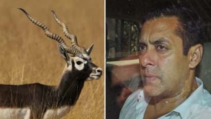 సల్మాన్ కేసులో ఎన్ని ట్విస్టులో