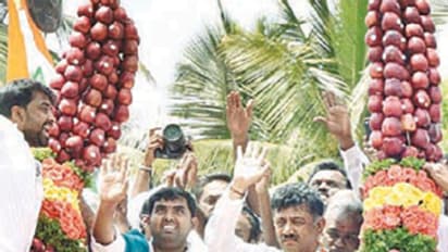 ಡಿಕೆಶಿಗೆ 300 ಕೆಜಿ ತೂಕದ ಸೇಬಿನ ಹಾರ ಅರ್ಪಣೆ!