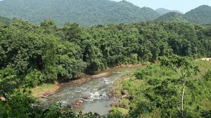 Spread of coronavirus has an environmental angle