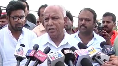 BJP releases manifesto, lays emphasis on farmers and cow protection