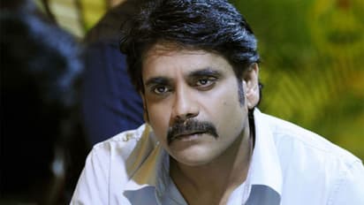 నాగార్జున అంత సాహసం చేస్తాడా?