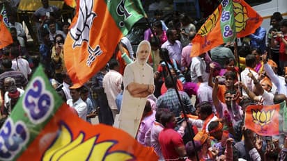 ಬಿಜೆಪಿ ಭದ್ರಕೋಟೆ ಕರಾವಳಿಯಲ್ಲಿ ಅರಳಿದ ಕಮಲ; ಗೆದ್ದ ಅಭ್ಯರ್ಥಿಗಳ ವಿವರ