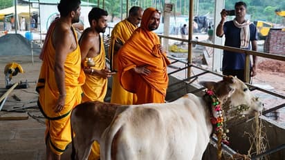 ರಾಘವೇಶ್ವರ ಶ್ರೀಗಳ ಕನಸಿನ ಕೂಸು 'ಗೋ ಸ್ವರ್ಗ' ಲೋಕಾರ್ಪಣೆ