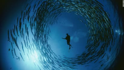 ಏಲಿಯನ್ ಹುಡುಕಾಟಕ್ಕೆ ಪೆಸಿಫಿಕ್ ಸಾಗರ ಧುಮುಕಲಿರುವ ನಾಸಾ..!