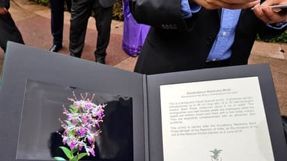 ಸಿಂಗಾಪುರದ ಆರ್ಕಿಡ್ವೊಂದಕ್ಕೆ ಪ್ರಧಾನಿ ನರೇಂದ್ರ ಮೋದಿ ಹೆಸರು