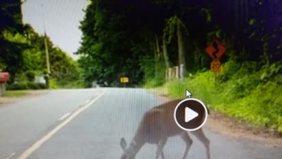 ಅಮ್ಮ ಅಂದ್ರೆ ಅಮ್ಮನೇ..ಹೃದಯಸ್ಪರ್ಶಿ ವಿಡಿಯೋ..!