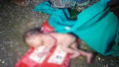 చిన్నారిపై ఎలకల దాడి