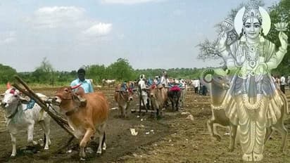 మృగశిర కార్తె ప్రాముఖ్యత ఏమిటీ..?