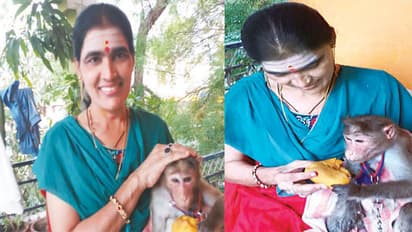 ಸಾವು-ಬದುಕಿನ ನಡುವೆ ನರಳುತ್ತಿದ್ದ ಕೋತಿಗೆ ಅಮ್ಮನಾದರು ಈ ಮಹಾತಾಯಿ!