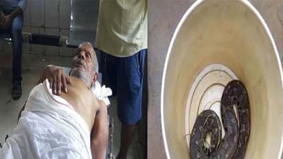 ఏ పాము కాటేసిందో చెప్పడానికి.. పాముతో పాటు ఆసుపత్రికి..!!