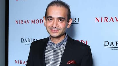 Gujarat court declares Nirav Modi a 'proclaimed absconder'