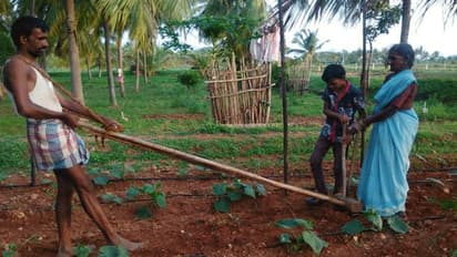 ಬಡತನದ ಬೇಗೆ : ನೇಗಿಲಿಗೆ ಹೆಗಲು ಕೊಟ್ಟ ರೈತ