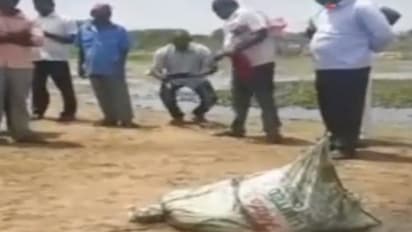 ప్రియుడిపై మోజు: భర్తను చంపి శవాన్ని ముక్కలు చేసిన మరో స్వాతి