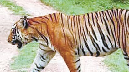 ಭದ್ರೆ ಕರೆಯುತ್ತಿದ್ದಾಳೆ, ಹೋಗಿ ಬನ್ನಿ