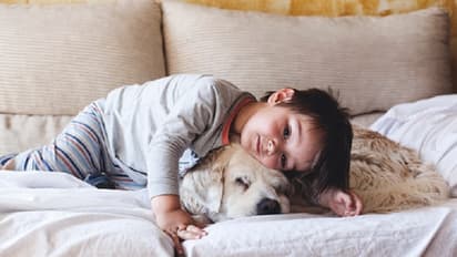ನಾಯಿ ಸಾಕಿದ್ರೆ ಅಲರ್ಜಿ ಆಗಲ್ವಂತೆ