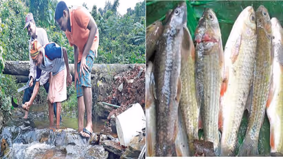 ಮಳೆಗಾಲದಲ್ಲಿ ಮೀನೂಟ ಬಾರೀ ರುಚಿ!