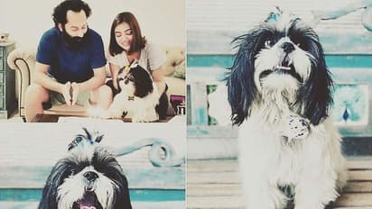 From fear to love: Tracking Nazriya's relationship with Oreo