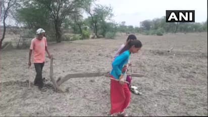 ನೊಗ ಹೊತ್ತು ಗದ್ದೆ ಉಳುಮೆ ಮಾಡುವ ಹೆಣ್ಣು ಮಕ್ಕಳು.. ಏನಿದು ರೈತನ ಕತೆ?