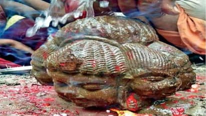 ಉಳುಮೆ ಮಾಡುವಾಗ ಈ ರೈತನಿಗೆ ಸಿಕ್ಕಿದ್ದೇನು ಗೊತ್ತಾ?