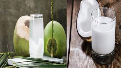 ಕಾಯಿ ಹಾಲು ಅಥವಾ ಕಾಯಿ ನೀರು? ಯಾವುದು ಆರೋಗ್ಯಕರ?