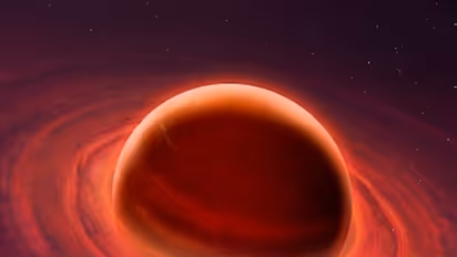 ಈ ರಾಶಿಗೆ ಭಾಗ್ಯದ ದಿನ, ಶುಭಫಲವು ಇದೆ