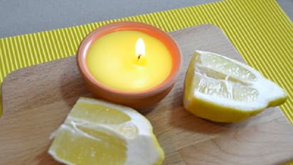 ಲಿಂಬೆ ಮತ್ತು ಲವಂಗ ಸೊಳ್ಳೆಗೆ ಆಗಬಹುದು ನೈಸರ್ಗಿಕ ಮದ್ದು!