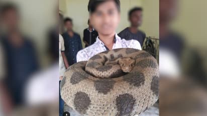 Have a picture with a wild animal? This could land you in jail