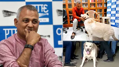 The Labrador that got AAP MLA and former minister Somnath Bharti arrested dies