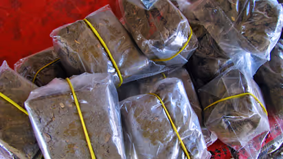 Karnataka cops arrest Odisha and Bihar youths, seize 8.5 Kilos of gaanja