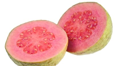 ರುಚಿ ರುಚಿ ಸೀಬೆಕಾಯಿ ಸೌಂದರ್ಯ ವರ್ಧಕವೂ ಹೌದು