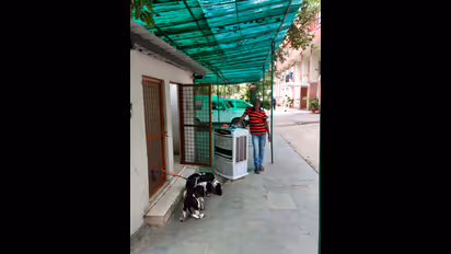 Office space becomes home for IPS officer's pet dogs in Delhi
