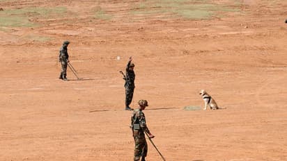 India salutes four-legged soldiers ahead of Kargil Vijay Diwas: Special show planned