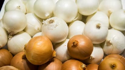 ಸೆಕ್ಸ್ ಸಾಮರ್ಥ್ಯ ಹೆಚ್ಚಿಸಲು ಈರುಳ್ಳಿ ಮದ್ದು