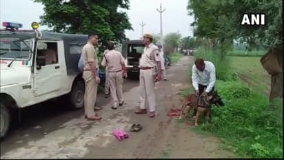 Alwar mob lynching: High-level enquiry ordered to investigate allegations against police