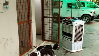 दिल्ली पुलिस के ऑफिस में पल रहे आईपीएस के कुत्ते