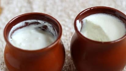 ಚೆಲುವಿನ ಅಂದದ ಮೊಗಕೆ ಮೊಸರೇ ಕಾರಣ..