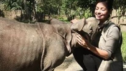 Dia Mirza adopted two leopard cubs back in 2010, she now has a baby Rhino named after her