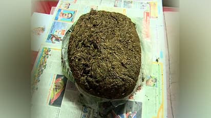 ಈ ಸ್ಟಾರ್ಗೆ ಗಾಂಜಾ ಬೇಕಂತೆ: ಕಜ್ಜಾಯ ಆಗುತ್ತಾ ಎಂದ ಪೊಲೀಸರು!