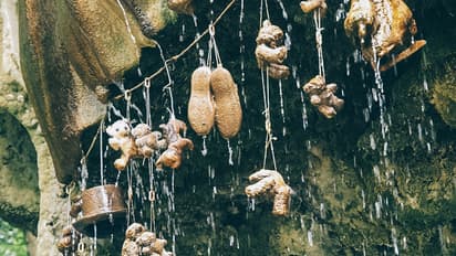 ಇದೆಂಥಾ ವಿಚಿತ್ರ! ಈ ಬಾವಿ ನೀರು ತಾಗಿದರೆ ಎಲ್ಲ ಕಲ್ಲಾಗುತ್ತಂತೆ!