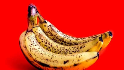 ಯಾವ ಬಾಳೆ ಹಣ್ಣು ಆರೋಗ್ಯಕ್ಕೆ ಹೆಚ್ಚು ಒಳ್ಳೆಯದು?