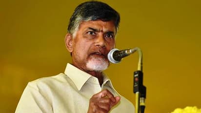 వరద నష్టం: కేరళ తరఫున చంద్రబాబు వకాల్తా