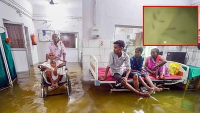 బిహార్ వర్షాలు.. అక్వేరియంగా మారిన ఆసుపత్రి.. రోగుల మధ్య చేపల షికారు