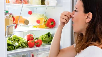 এই খাবারগুলি কি ফ্রিজে রাখেন! বড় বিপদ ডেকে আনছেন