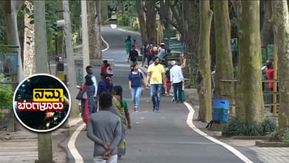 ಬನ್ನೇರು ಘಟ್ಟ ಪ್ರವೇಶ ಶುಲ್ಕ ಹೆಚ್ಚಳ