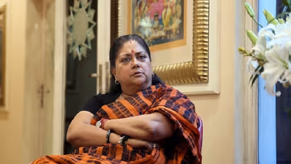 Rajasthan CM Vasundhara Raje: "Lynchings are a result of an inability to find jobs"