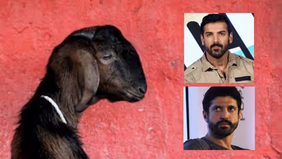 Goat gang rape: John Abraham wants capital punishment for guilty; Farhan Akhtar shocked