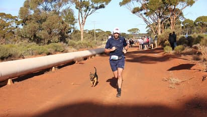 ಮ್ಯಾರಥಾನ್ ಓಡಿದ ಶ್ವಾನಕ್ಕೂ ಸಿಕ್ತು ಪದಕ..!