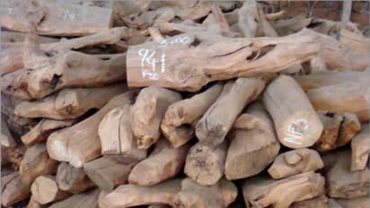 'പെല്വിന് സഹായിച്ചു'; 15 ലക്ഷം രൂപയുടെ ചന്ദനത്തടികള് പിടികൂടി